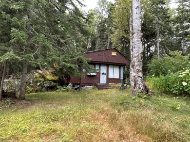 Mooselookmeguntic Lake Home For Sale in Rangeley Maine