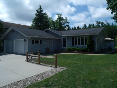 Lake Home ActiveUnderContr in Indian River, Michigan