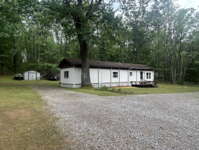 Lake Home For Sale in Atlanta, Michigan