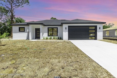 READY to move in! THE ONLY NEW CONSTRUCTION HOME IN PALM BAY - photo 1