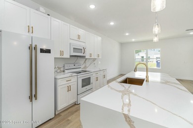 READY to move in! THE ONLY NEW CONSTRUCTION HOME IN PALM BAY - photo 4