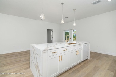 READY to move in! THE ONLY NEW CONSTRUCTION HOME IN PALM BAY - photo 5