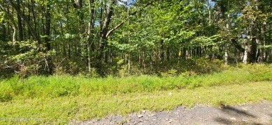 Lake Lot For Sale in Jim Thorpe, Pennsylvania