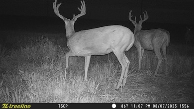 An 80.4-acre property just outside of Chase, KS, featuring a mix - photo 4