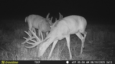 An 80.4-acre property just outside of Chase, KS, featuring a mix - photo 5