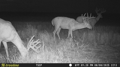An 80.4-acre property just outside of Chase, KS, featuring a mix - photo 6
