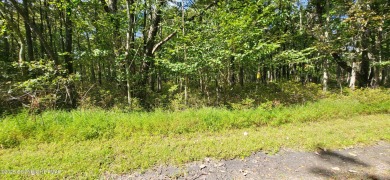 Lake Lot For Sale in Jim Thorpe, Pennsylvania