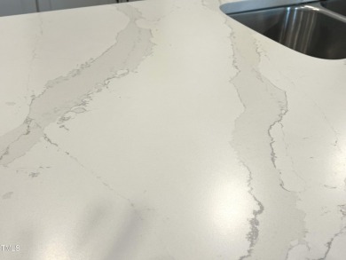 This Nearly new unit has an Elevator and a Third floor Terrace