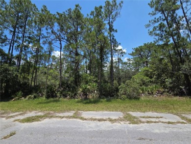 Lake Lot For Sale in Indian Lake Estates, Florida