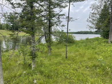 Lake Lot For Sale in Wolverine, Michigan
