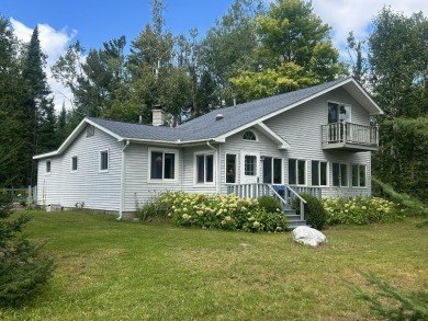 (pending lake) Home Active Under Con in Hillman Michigan