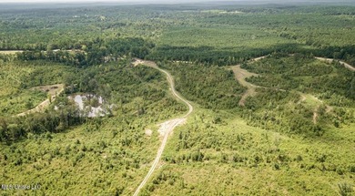 Located off Attala Road 3027 in Attala County, Mississippi, this - photo 1