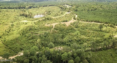 Located off Attala Road 3027 in Attala County, Mississippi, this - photo 2