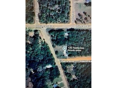 Chipco Lake Lot For Sale in Interlachen Florida