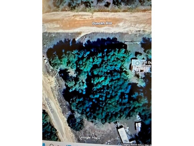 Chipco Lake Lot For Sale in Interlachen Florida