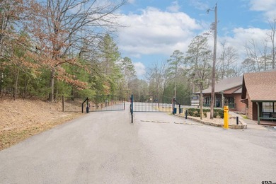 Fabulous waterfront home on beautiful Lake Cypress Springs - photo 37