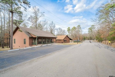 Fabulous waterfront home on beautiful Lake Cypress Springs - photo 38