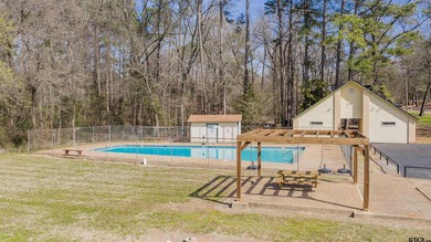 Fabulous waterfront home on beautiful Lake Cypress Springs - photo 39