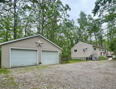 Lake Home For Sale in Hillman, Michigan