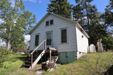 Lake Home For Sale in Atlanta, Michigan