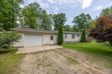 Lake Home For Sale in Mecosta, Michigan