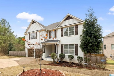 Lake Home For Sale in Hoover, Alabama