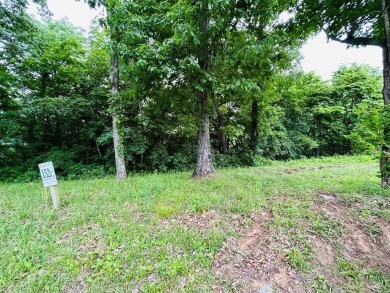 Lake Lot For Sale in Hilham, Tennessee
