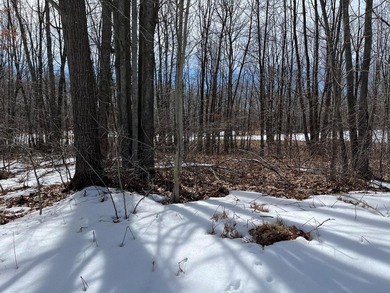 ''Enjoy approximately 300 feet of private lake access complete - photo 12