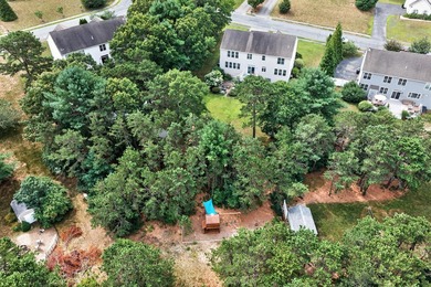 Nestled in the sought-after Pine Hollow neighborhood in the - photo 34