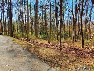 Very Nice Well Maintained Split Foyer on Full 1 Acre Corner - photo 42
