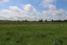 Development opportunity with 38 acres - Lake Acreage For Sale in Edwardsburg, Michigan