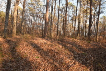 Wooded Off Water Lot Just Across Road From Lake - Lake Lot For Sale in Crane Hill, Alabama