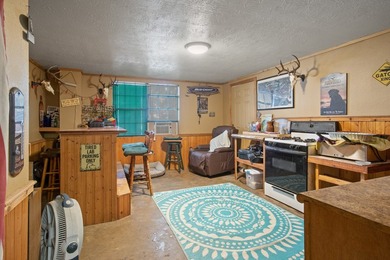 Caddo Lake Estates home on a large lot, a private boat ramp - photo 27