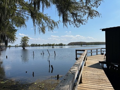 Caddo Lake Estates home on a large lot, a private boat ramp - photo 32