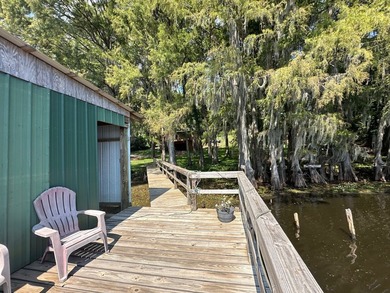 Caddo Lake Estates home on a large lot, a private boat ramp - photo 33