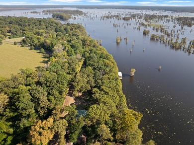 Caddo Lake Estates home on a large lot, a private boat ramp - photo 37