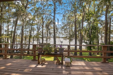 Caddo Lake Estates home on a large lot, a private boat ramp - photo 39