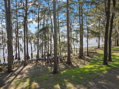 Caddo Lake Estates home on a large lot, a private boat ramp - photo 40