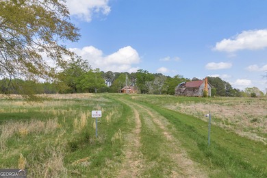 Lake Acreage For Sale in Winterville, Georgia