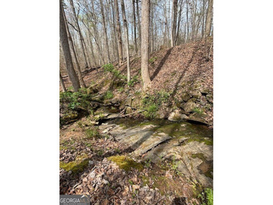 (private lake, pond, creek) Acreage For Sale in Stockbridge Georgia