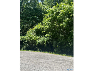 Weiss Lake Lot For Sale in Gaylesville Alabama