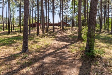 Looking for the country cozy charm of a Satterwhite Log Home on - photo 31