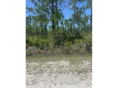 Lake Lot For Sale in Indian Lake Estates, Florida