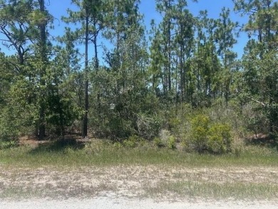 Lake Lot For Sale in Indian Lake Estates, Florida