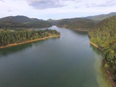 Developers dream, lake access frontage, timber, income producing - photo 3