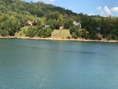Developers dream, lake access frontage, timber, income producing - photo 4