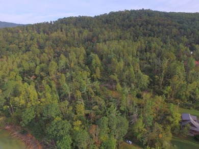 Developers dream, lake access frontage, timber, income producing - photo 6