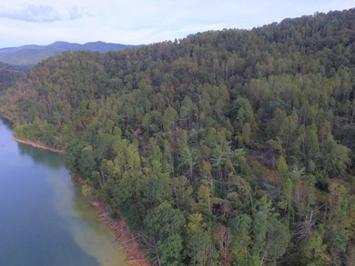 Developers dream, lake access frontage, timber, income producing - photo 7