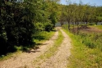 Developers dream, lake access frontage, timber, income producing - photo 8