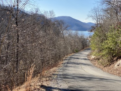 Developers dream, lake access frontage, timber, income producing - photo 9